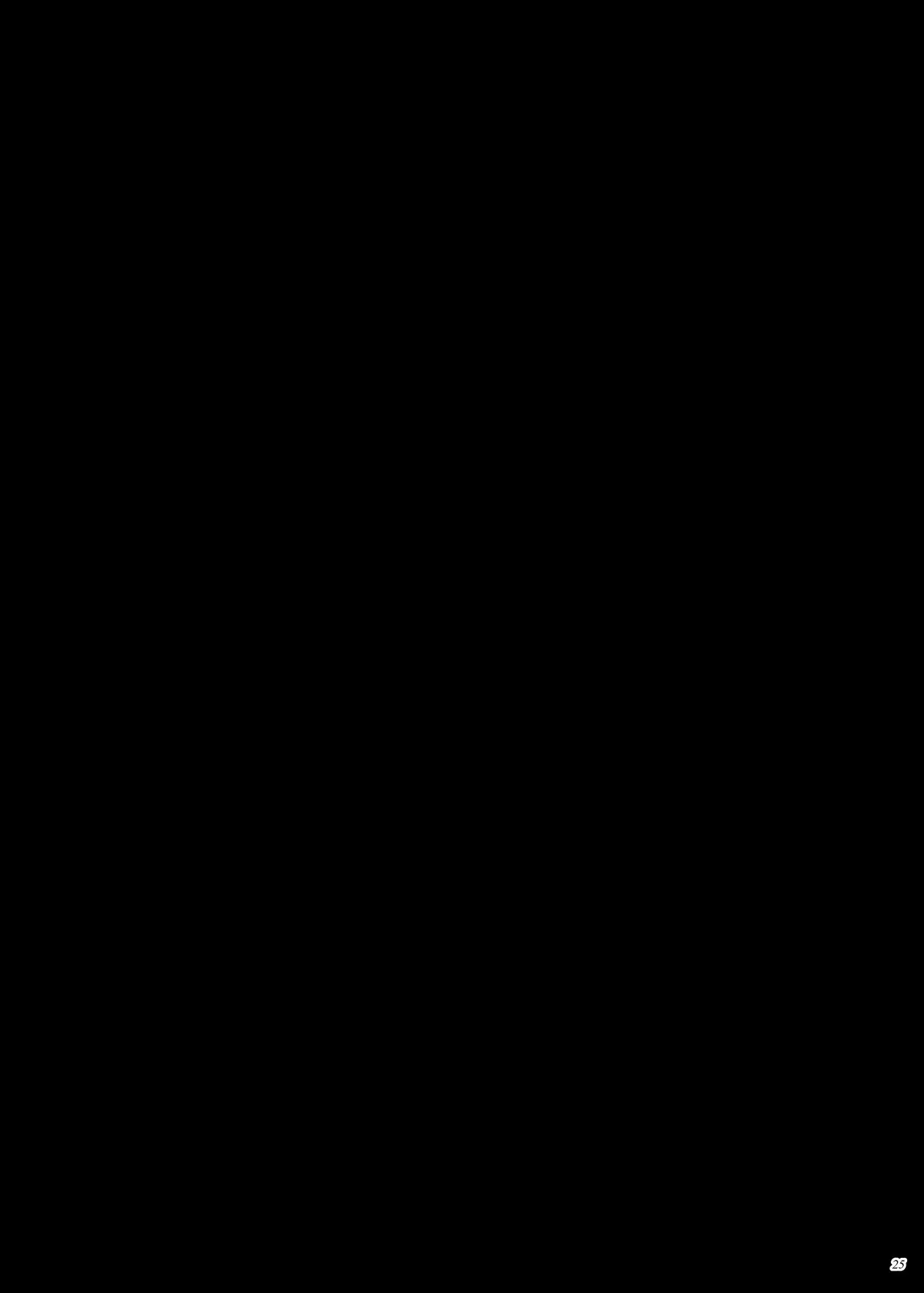 Página 24