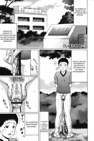 Kenritsu Seishidou Center 9