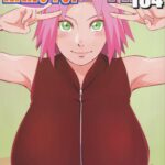 NARUTOP ROSA104