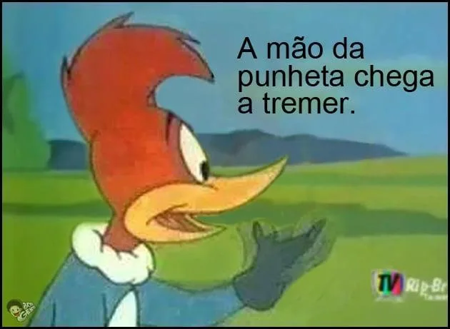 Página 15